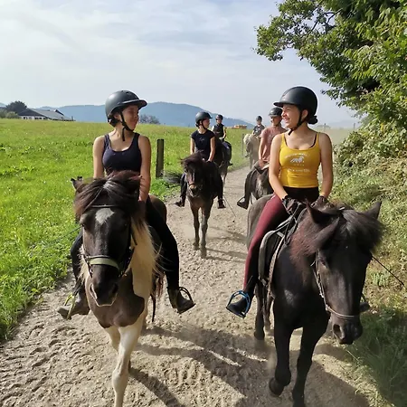 아파트 Panorama-retreat Am Waldrand Nahe Seen Und Bergen 빌라흐